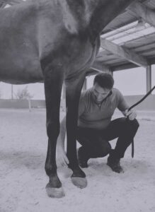 Lorenzo D'Arpe: La cura del cavallo al centro dell'attenzione: in cosa consiste il metodo D'Arpe, Medico Veterinario, PhP esperto in laminite equina e in altre patologie del piede del cavallo