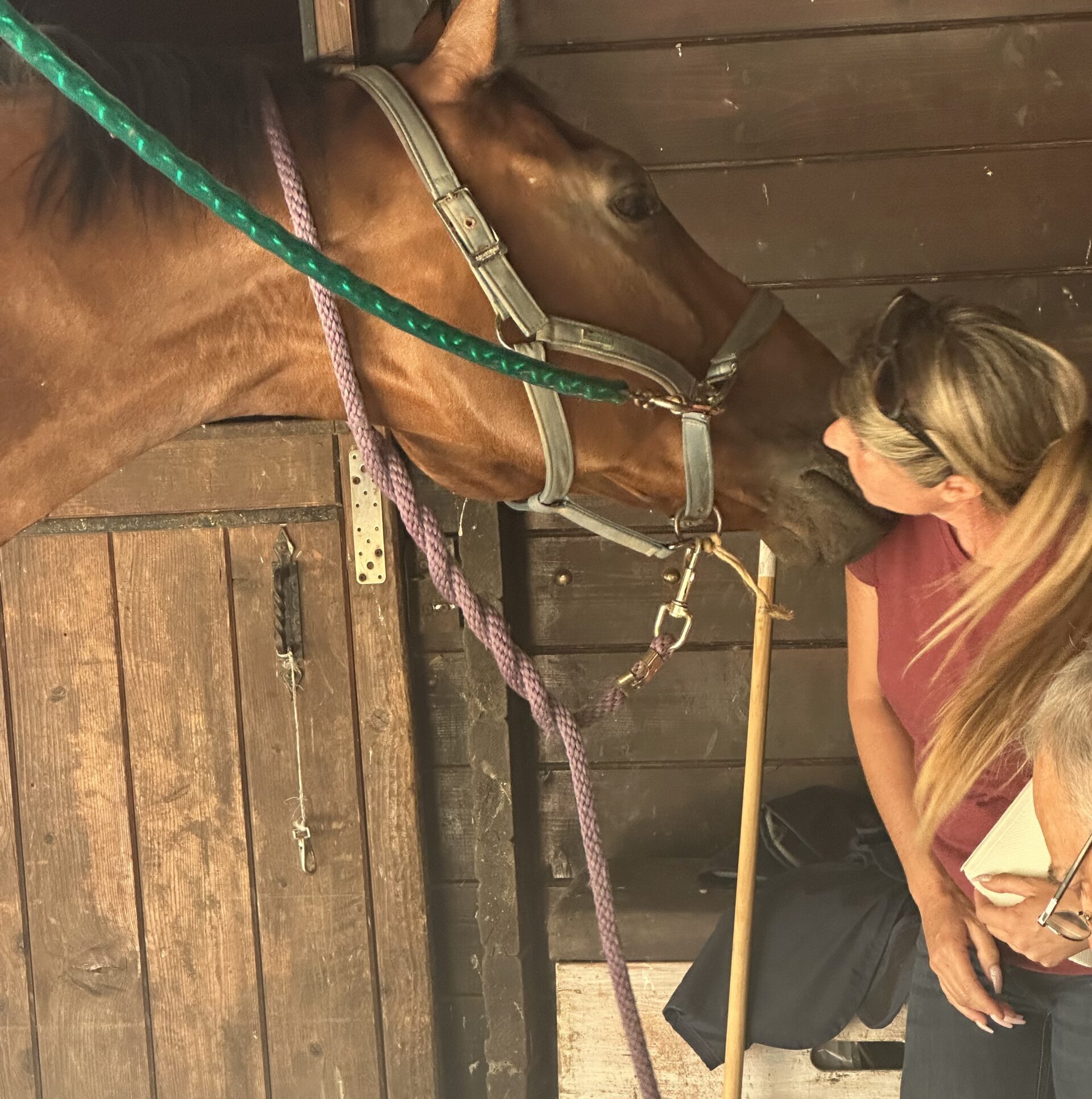 Valutazione del piede del cavallo – Podiatria Vascolare Equina